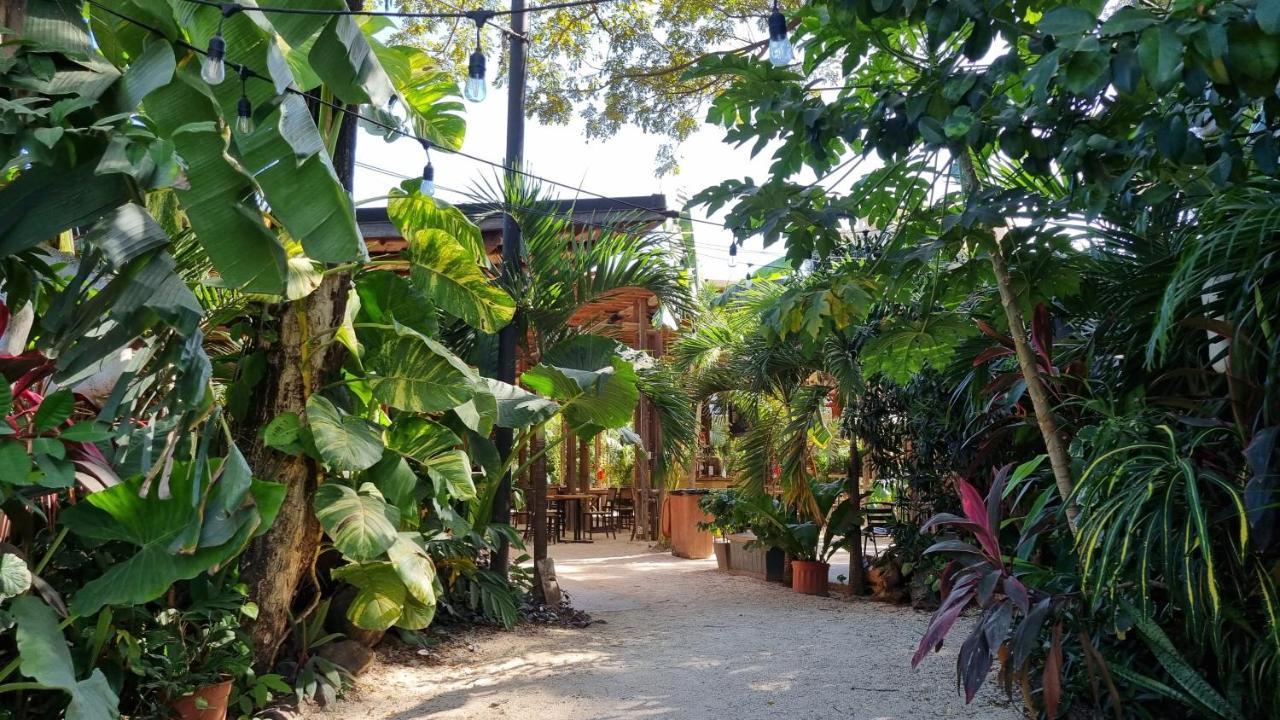 Zulu Surf Hotel Ταμαρίντο Εξωτερικό φωτογραφία