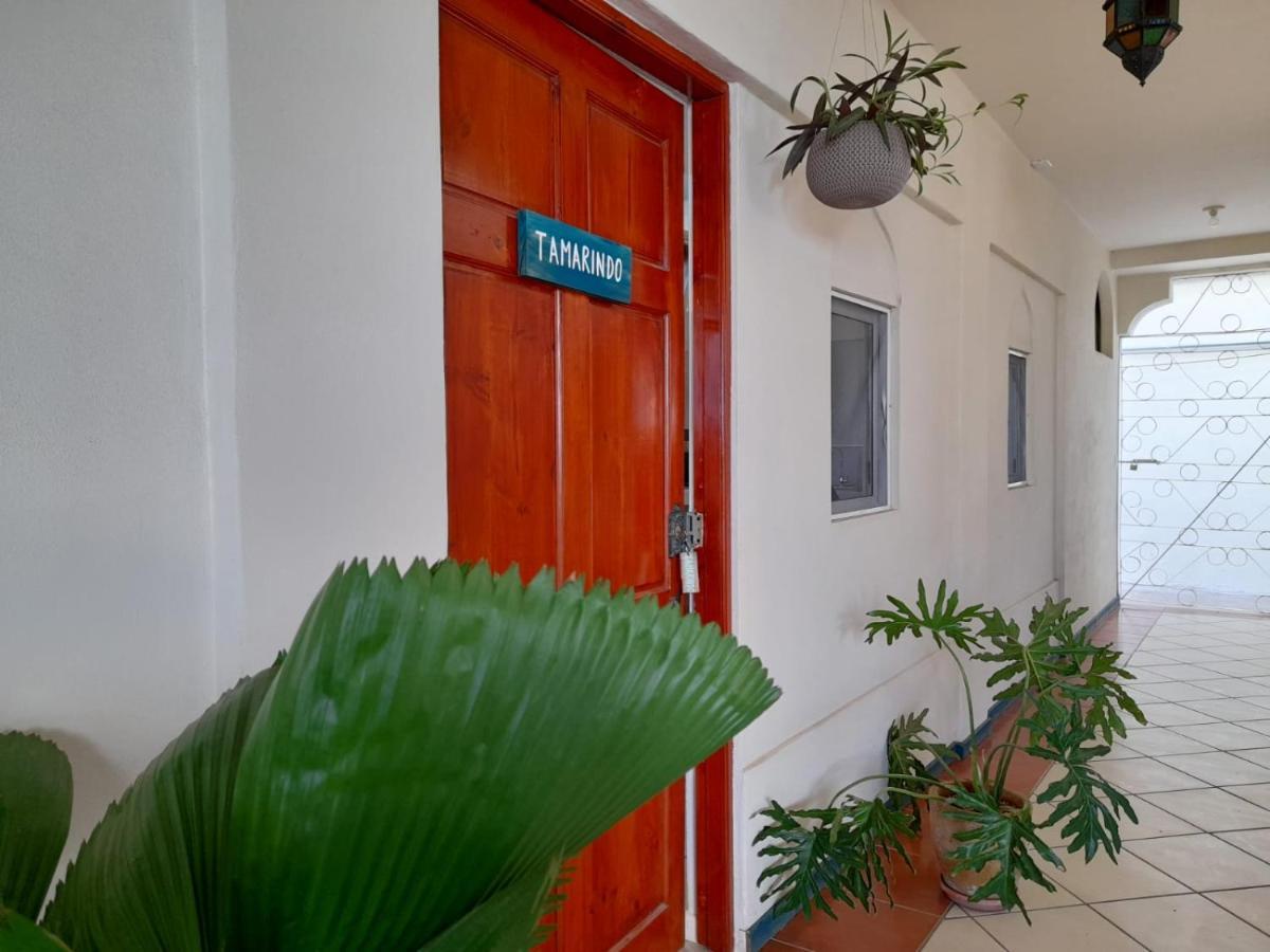 Zulu Surf Hotel Ταμαρίντο Εξωτερικό φωτογραφία